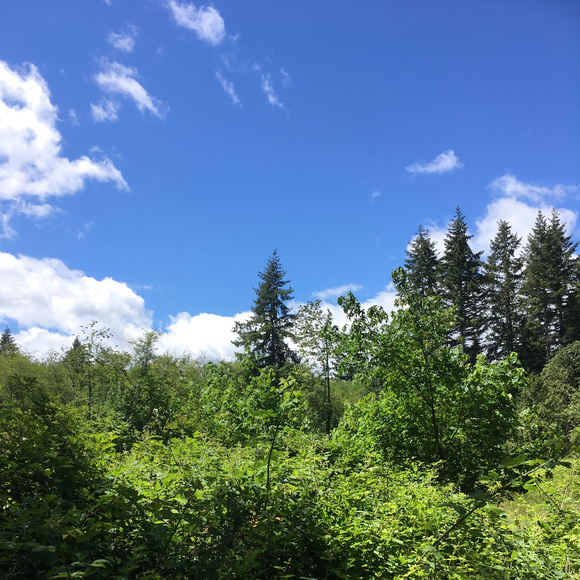 Meet your Posher, Danielle - Picture 1 of 1